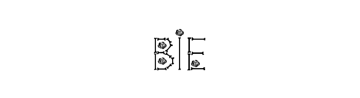 Bones  Roses Thin  Free Fonts Download