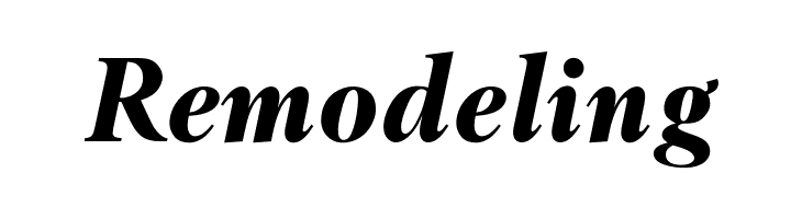 OPTIBerling-BoldItalicAg  Free Fonts Download