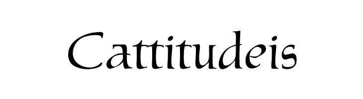 OPTIMarkusRoman  Free Fonts Download