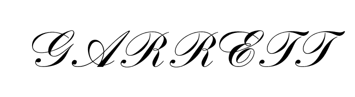 OPTIBank-Script  Free Fonts Download