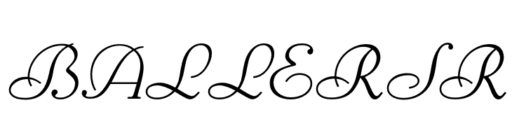 BernHardOpti-LightCursive  Free Fonts Download