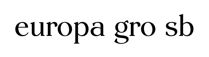 EinsteinRomanOpti  Free Fonts Download