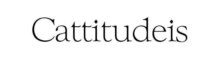 OPTIwtcGoudy-Light  Free Fonts Download