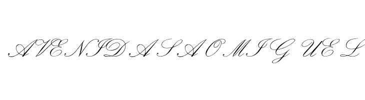 OPTIExcelsiorScript  Free Fonts Download