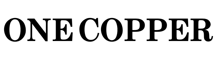 OPTICenturySchoolbookBold  Free Fonts Download