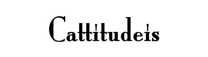 OPTIMargueritte-SolidBold  Free Fonts Download