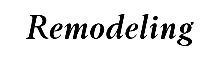 OPTIBerlingSemiBoldItaAg  Free Fonts Download