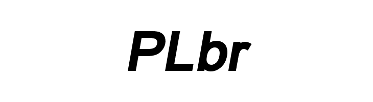 ER Univers 1251 Bold Italic  Free Fonts Download