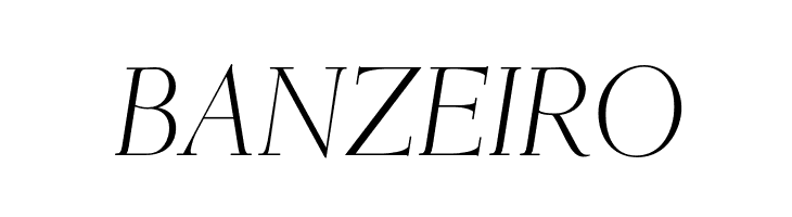 OPTIEisen-LightItalic  Free Fonts Download