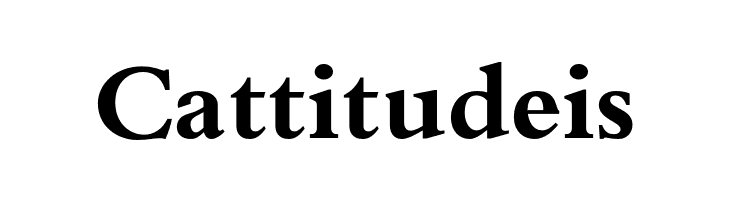 BilkoOpti-Bold  Free Fonts Download