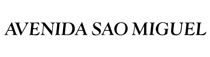 OPTIwtcGoudy-MediumItalic  Free Fonts Download