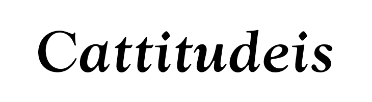 OPTIwtcGoudy-MediumItalic  Free Fonts Download