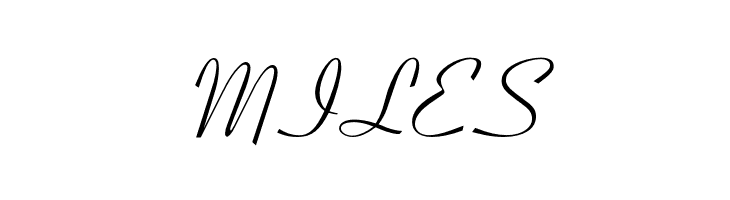 OPTICoyonet  Free Fonts Download