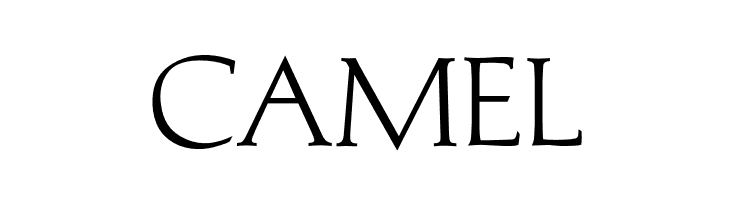 OPTIMichaelAngelo  Free Fonts Download