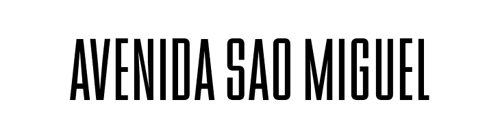 OPTIBinderStyle-Light  Free Fonts Download