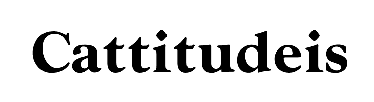 OPTIwtcGoudy-Bold  Free Fonts Download