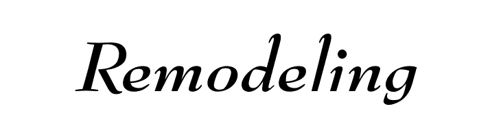 OPTIBenjieModern-BoldIta  Free Fonts Download