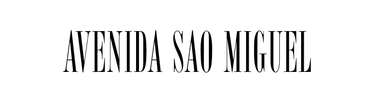 OPTIBorDen-Roman  Free Fonts Download