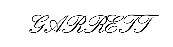 IslandScriptOpti  Free Fonts Download