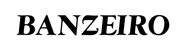 OPTIwtcGoudy-BoldItalic  Free Fonts Download