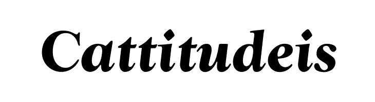 OPTIwtcGoudy-BoldItalic  Free Fonts Download