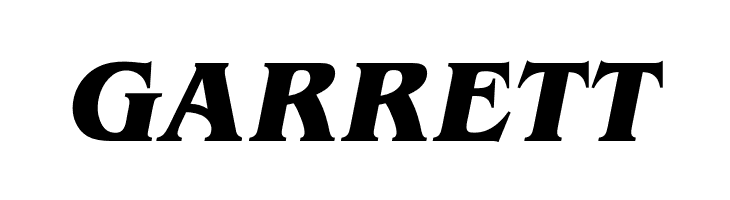 OPTIBrianJamesBold-Italic  Free Fonts Download