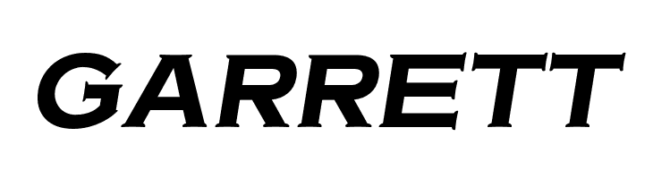 OPTIAmericanGothic-BoldItalic  Free Fonts Download