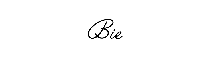OPTILariatScript  Free Fonts Download