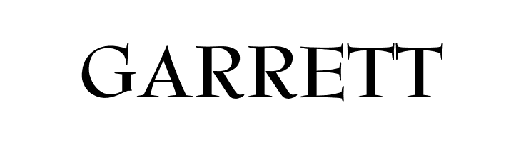 OPTIBenjieModern-Bold  Free Fonts Download