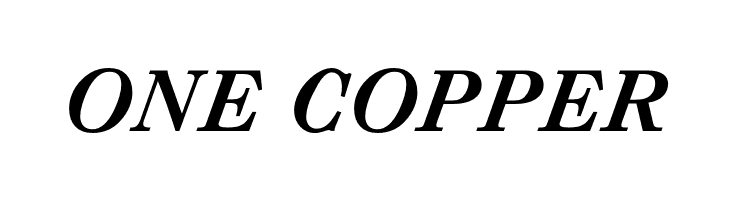 CaslonAgOpti-BoldItaSwash  Free Fonts Download