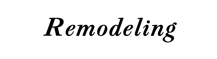 CaslonAgOpti-BoldItaSwash  Free Fonts Download