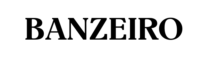 EinsteinOpti-Bold  Free Fonts Download