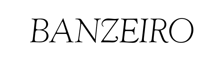 OPTIwtcGoudy-LightItalic  Free Fonts Download