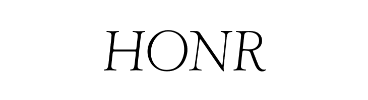 HONR OPTIwtcGoudy-LightItalic Font