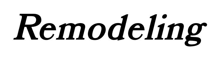 OPTIBookmanBoldItalicSwash  Free Fonts Download