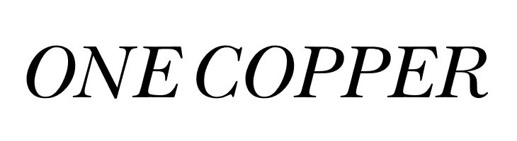 OPTIBaskerVille-Italic  Free Fonts Download