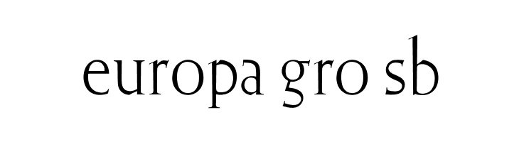 OPTIElizabeth-Roman  Free Fonts Download