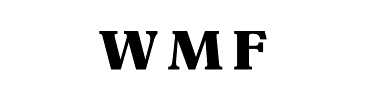 OPTIEinstein-Black  Free Fonts Download