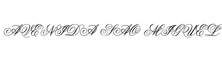 OPTIFlemish-Script  Free Fonts Download