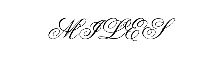 OPTIFlemish-Script  Free Fonts Download