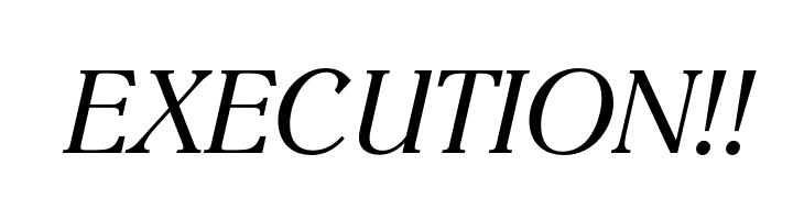 EinsteinOpti-Italic  Free Fonts Download