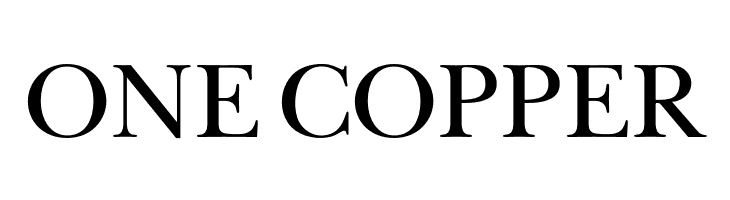 OPTIBaskerVille  Free Fonts Download