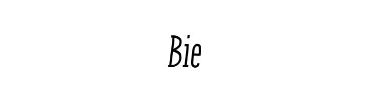 ENYO Serif Medium Italic  Free Fonts Download