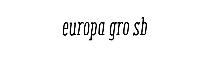 ENYOSerifMediumItalic  Free Fonts Download