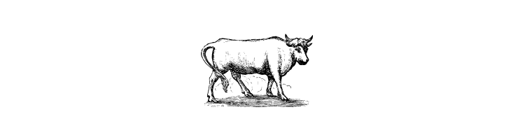 Animals Old Cuts  Free Fonts Download