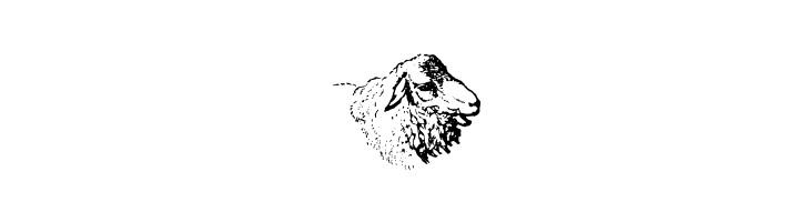 Animals Old Cuts  Free Fonts Download