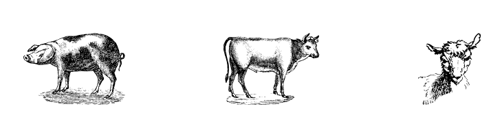 Animals Old Cuts  Free Fonts Download