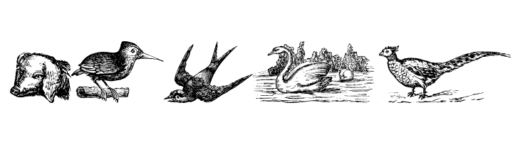 Animals Old Cuts  Free Fonts Download