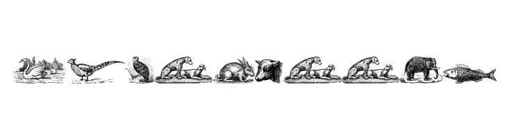 Animals Old Cuts  Free Fonts Download