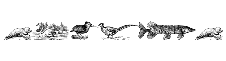 Animals Old Cuts  Free Fonts Download